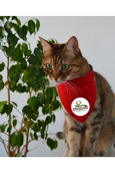 stylie Double-Sided Christmas Patterned Red Cat Dog Scarf, Bandana with Leash