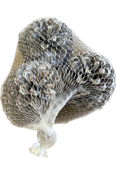 Art Pine Natural Maritima Конус у файлі 3 штуки 10-14 см, новорічна прикраса,...