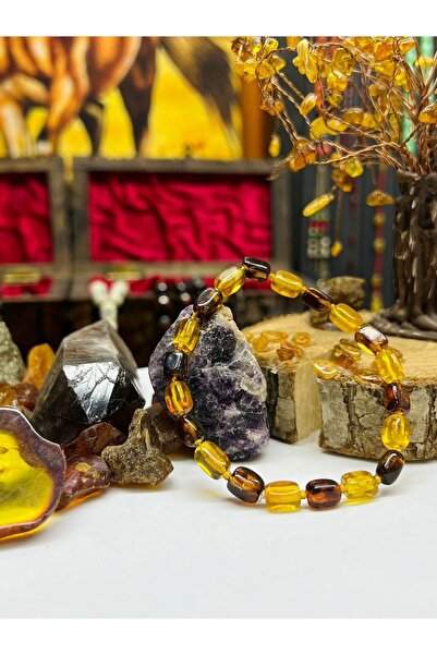 Budakoğulları Orijinal Sertifikalı Gümüş Ukrayna Fosilli Damla Kehribar Nazar...