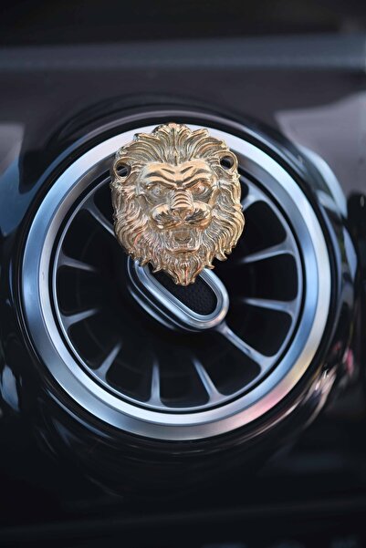 TASARIM ARABAM ATİKE ELİF AKIN Gold Aslan Klima Koku