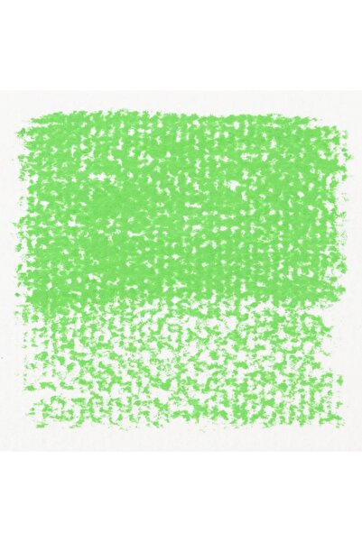 Rembrandt : Soft Pastel Paint : Permanent Green Light (5)