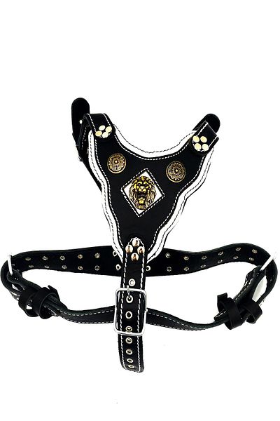 Tasma Market Large Breed and Medium Breed Warrior Leather Design Lion Head Dog Chest Collar