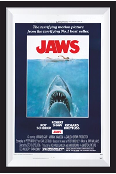 Hayat Poster Αφίσα κινηματογράφου Javs - Ρετρό ξύλινη αφίσα με εφέ πλαισίου