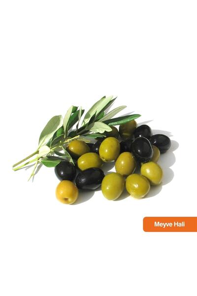 YAYLA TARIM Zeytin Fidanı Çift Aşılı Gemlik Domat Aşısı 2 Yaş 70 Cm Tüplü 12 Ay Dikim...