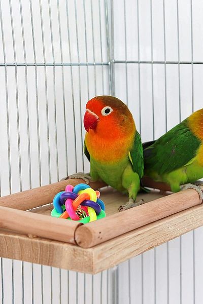 Alyones Bird Perch Stand Toy, Bird Food Holder, Natural Wood Bird Cage Accessories, Parrot, Rat