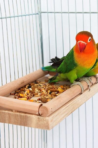Alyones Bird Perch Stand Toy, Bird Food Holder, Natural Wood Bird Cage Accessories, Parrot, Rat