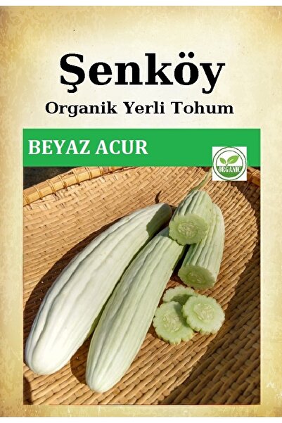 Şenköy Yerli Beyaz Acur Salatalık Tohumu Doğal Ata Köy Turşuluk Hıyar Tohumu ...
