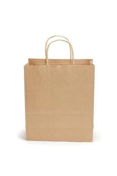 MERT AMBALAJ Kraft Paper Bag Twist Handle Medium 25*31)(5 Pieces)
