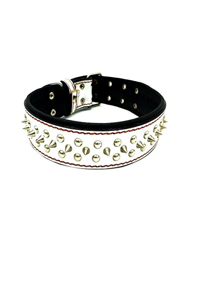 Tasma Market Beyaz Yumuşak Dokulu Özel Tasarım Köpek Tasması Köpek Boyun Tasması