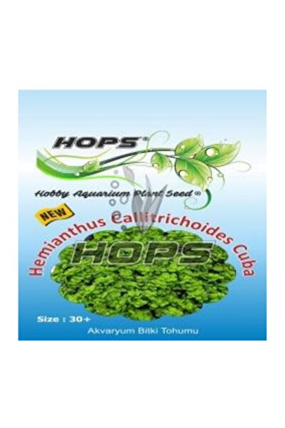canlipetshop Hops Akvaryum Için Canlı Bitki Tohumu Hemianthus Callitr Choides...