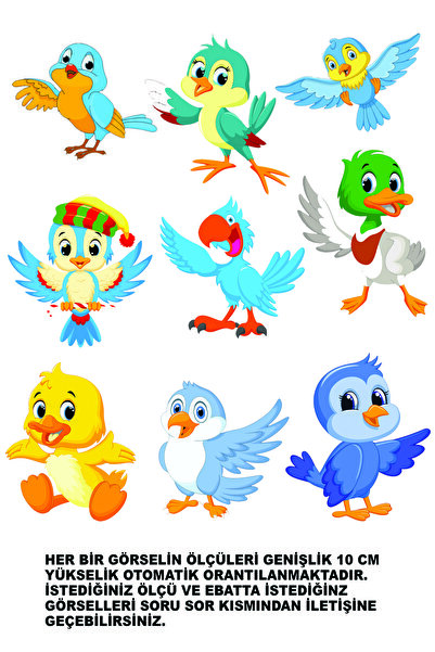 Dtf Printing A3 Size Cute Birds Digital Printing With Iron