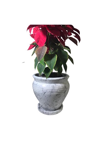 SAMESA HEDİYELİK Saksı Toprak Saksımermer Desenli Saksı