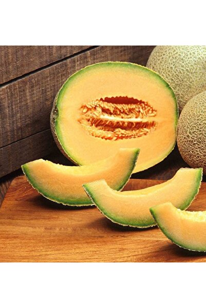 Tohum Dünyam 10 Adet Cantalupo Kavun Tohumu