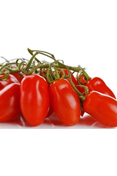 Tohum Dünyam 20 Adet Patio San Marzano Domates Tohumu