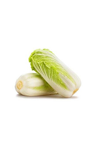 Tohum Dünyam 100 Adet Çin Lahanası Tohumu