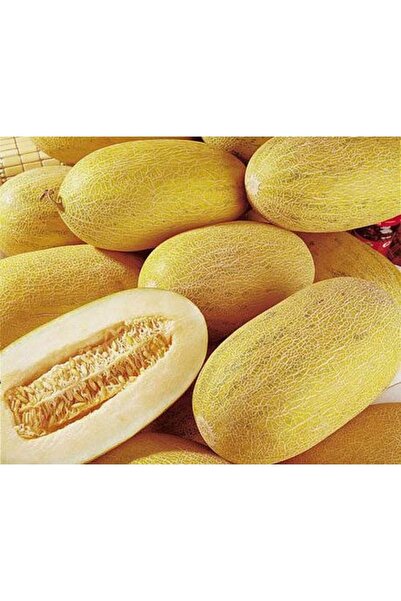Tohum Dünyam 20 Adet Golden Sweet Crispy Kavun Tohumu