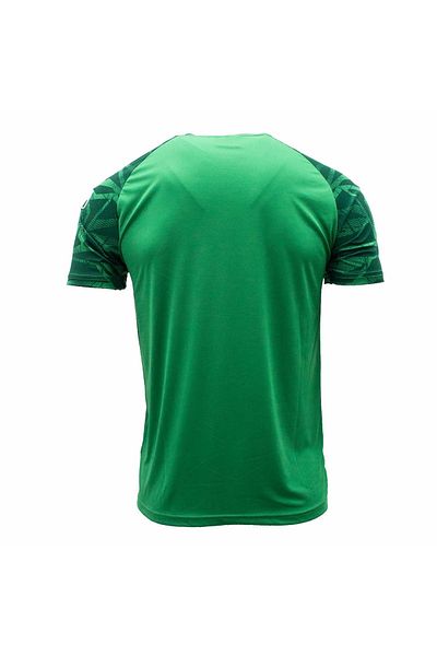 UHLSPORT Προπονητικό μπλουζάκι Goal 25 Green