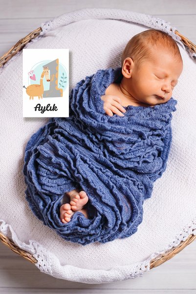 Kapbirhediye Aylık Bebek Kartları Fotoğraf Çekimi 3