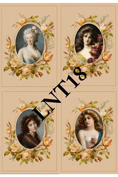 LİNEART Sulu Transfer Lnt18