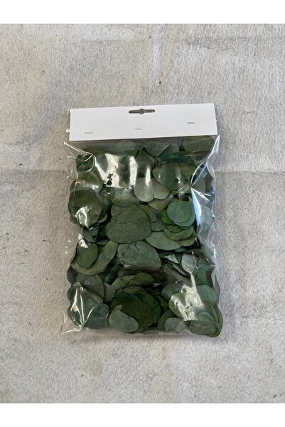 Art Pine Natural Korunmuş Şoklanmış Okaliptüs Yaprakları - 350 Adet - Eviniz ...