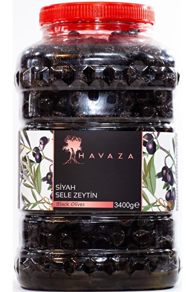 Havaza Siyah Sele Zeytin - 3400 Gr. (291-320 Kalibre)