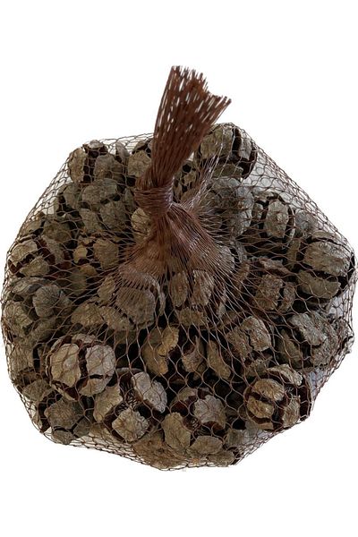 ART PINE Cypress Cone Net 300gr, Οργάνωση Γραφείου στο σπίτι, Γάμος, Πάρτι, Πρωτοχρονιάτικη Χριστουγεννιάτικη διακόσμηση