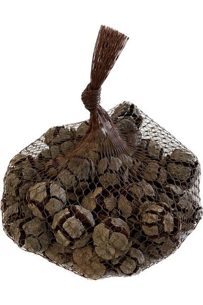 ART PINE Cypress Cone Net 300gr, Οργάνωση Γραφείου στο σπίτι, Γάμος, Πάρτι, Πρωτοχρονιάτικη Χριστουγεννιάτικη διακόσμηση