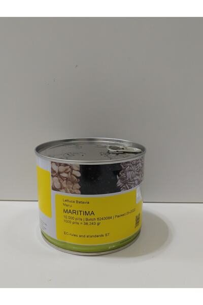 AG Tohum Maritima Kıvırcık Marul Tohumu Paketli 10.000(bahar Ve Yazlık)