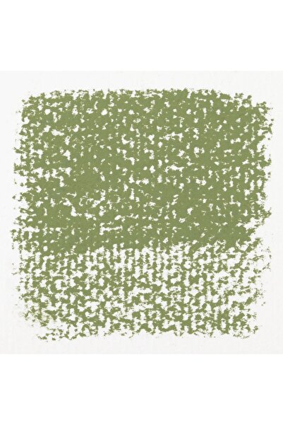 Rembrandt : Soft Pastel Paint : Permanent Green Light (3)