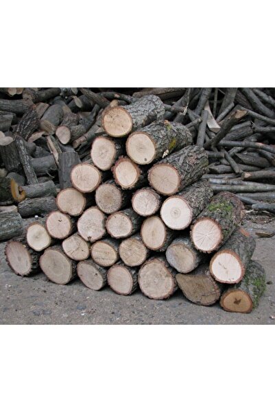 SAREYAPIVEHIRDAVAT 15 Kg Şömine Odunu Meşe Odunu Hakiki Şöminelik Meşe Odunu ...