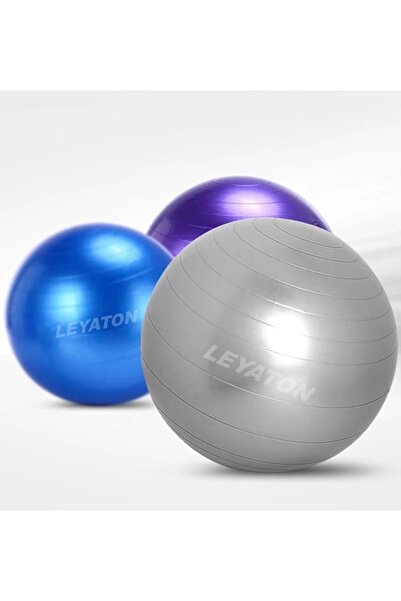 Leyaton Plates Topu 75cm Gri