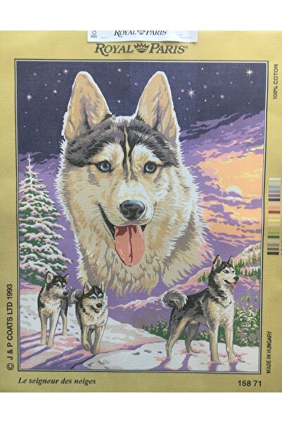 Royal paris 62*48 Cm Baskılı Işlenmemiş Goblen Pano Etamin 15871