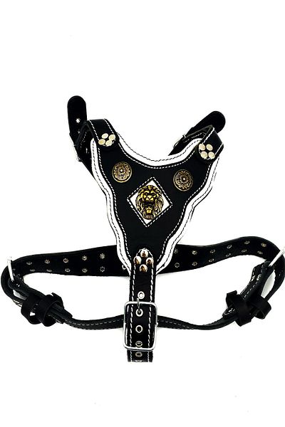 Tasma Market Large Breed and Medium Breed Warrior Leather Design Lion Head Dog Chest Collar