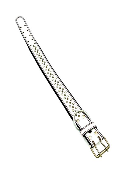 Tasma Market Beyaz Yumuşak Dokulu Özel Tasarım Köpek Tasması Köpek Boyun Tasması