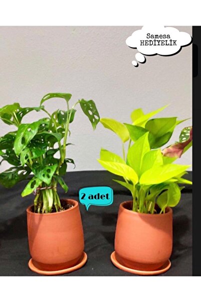 SAMESA HEDİYELİK Saksı Toprak Saksı Sukulent Saksısı Küçük Saksı 2 Adet
