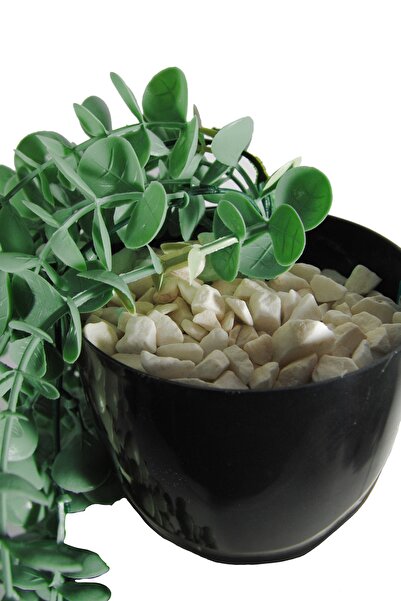 Lilac Home Yapay Çiçek Maxi Boy Siyah Saksılı Yeşil Okaliptus Sarkıtı