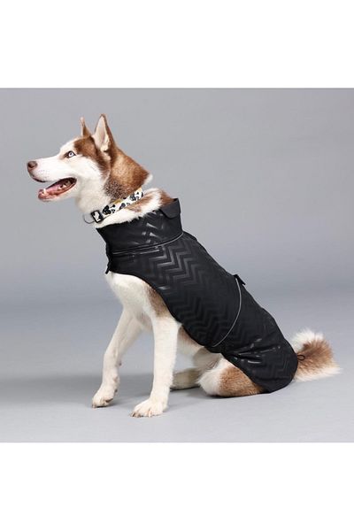 Lindodogs Softshell Black Stripe Small, Medium and Large Breed Dog Raincoat