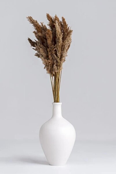 Alyones 10 Adet Kurutulmuş Pampas Otu 100 cm