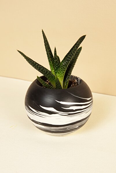 Handmeight Beton Siyah Beyaz Wave Skulent ve Kaktüs Saksı,Ev Dekorasyon Beton...