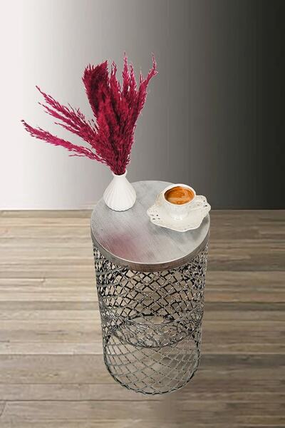 MG HOME Tasarım Metal Sehpa 25 Cm (yan Sehpa,orta Sehpa) Siyah Gümüş Silver