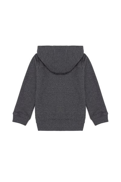 U.S. Polo Assn. Gray Boy's Sweatshirt