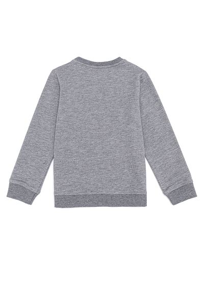 U.S. Polo Assn. Gray Boy's Sweatshirt
