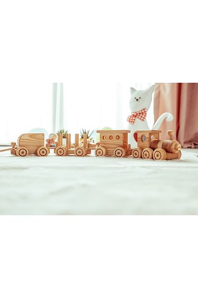 SaltanArt Wooden Train Set Colorless Solid Paintable Natural Wooden Toy Train with Three Wagons Baby Kids Toy