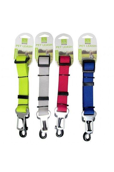 Nunbell Extension Dog Collar Attached to Safety Belt