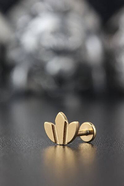 Valhalla Cerrahi Çelik Kıkırdak Tragus Helix Zirkon Taş Etnik Piercing