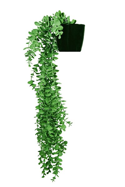 Lilac Home Yapay Çiçek Maxi Boy Siyah Saksılı Yeşil Okaliptus Sarkıtı