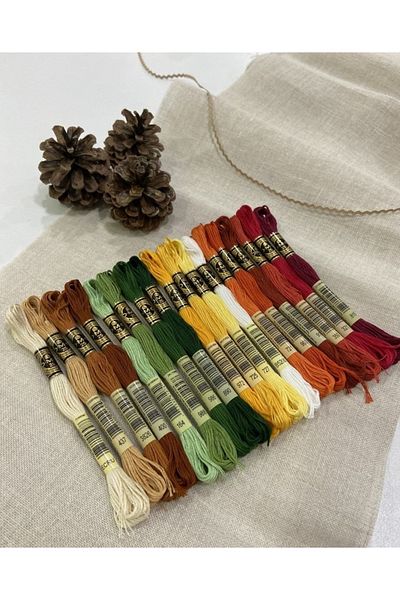 Dmc Muline Thread Set Autumn Colors 18 Pieces