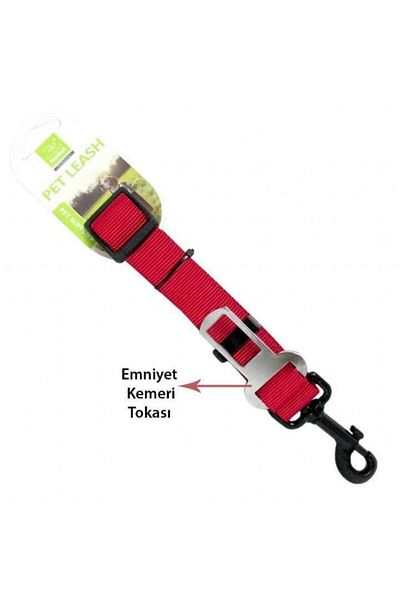 Nunbell Extension Dog Collar Attached to Safety Belt