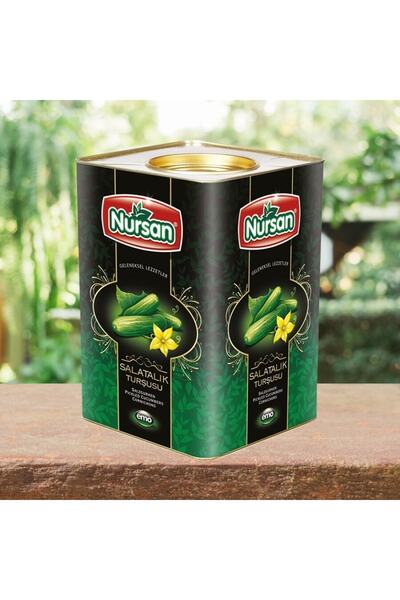 Nursan Gıda 3 Numara Salatalık Turşusu 17 Kg