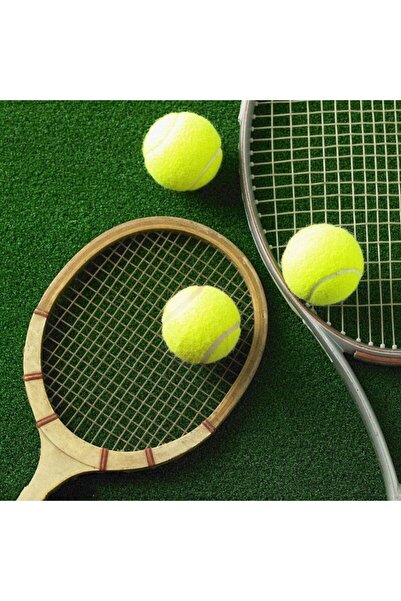 Leyaton 2 Adet Sarı Tenis Topu Antrenman Tenis Topu Tpw-002